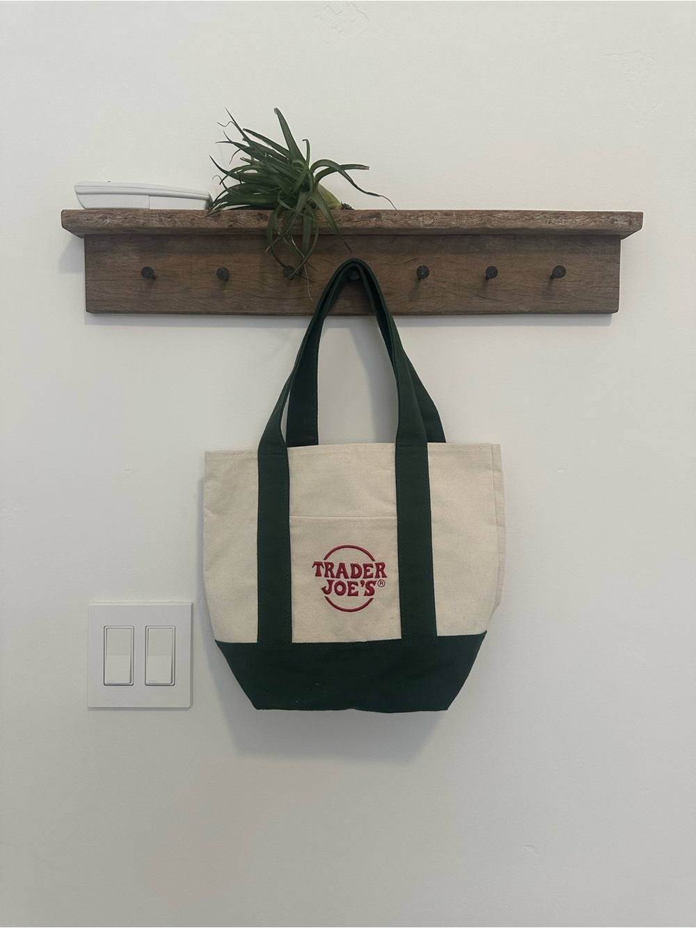 Trader Joe's Canvas Tote in Natural with Dark Green Accents